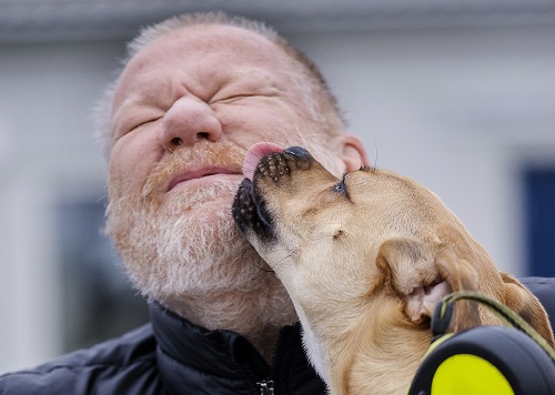 Leifs smärta var inte njursten utan njurcancer - han är en av de 1000 som varje år drabbas av njurcancer. Foto: Shutterstock